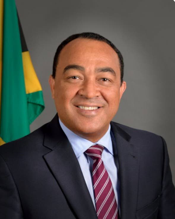 Christopher Tufton, minister of health and wellness