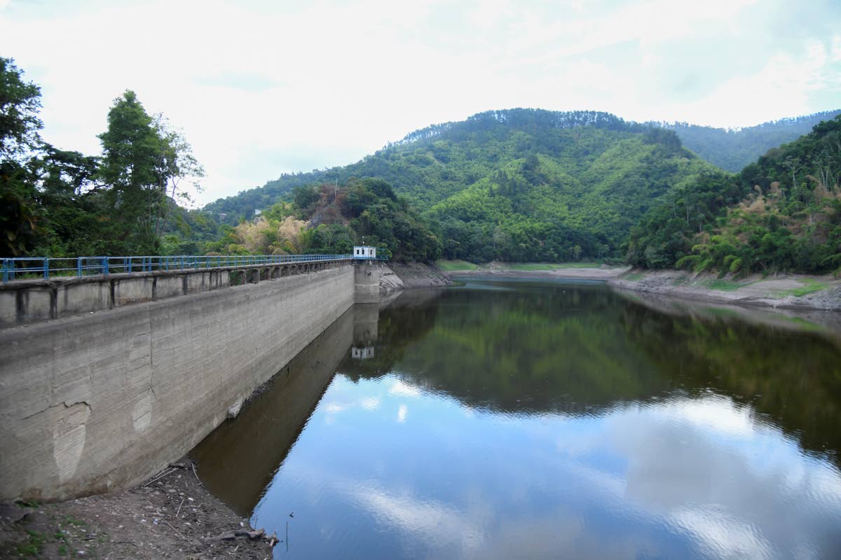 Photo of Hermitage Dam taken on August 24 when the water level stood little over 31 per cent.