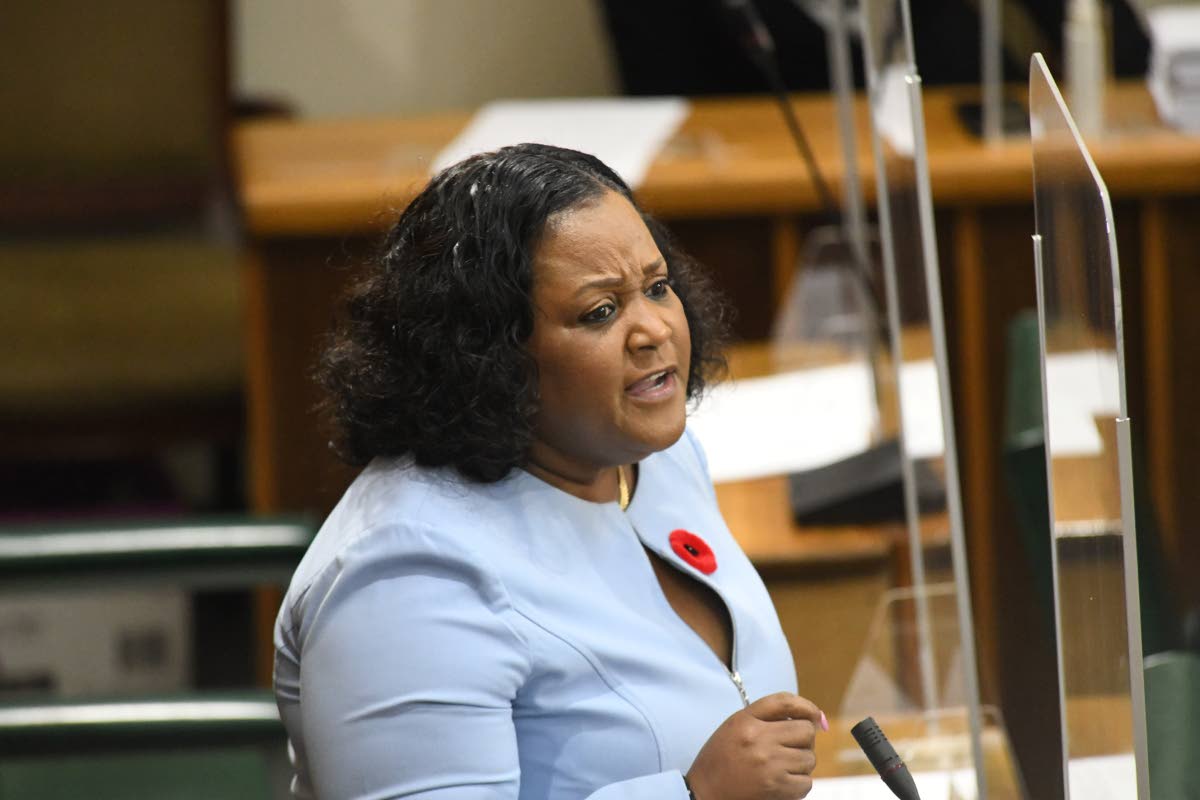 St Catherine North Central Member of Parliament Natalie Neita Garvey