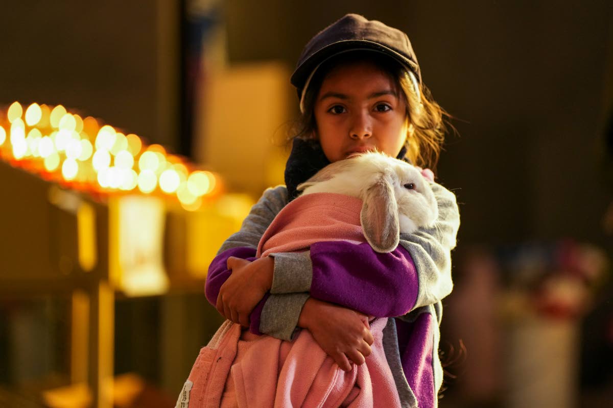 A girl carries her rabbit for a pet blessing ceremony at the Basilica of Our Lady of Mount Carmel on the feast day of St. Francis of Assisi in Santiago, Chile.