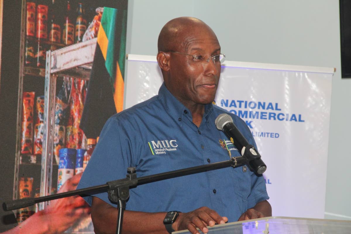 Senator Aubyn Hill, Minister of Industry, Investment and Commerce, addressing the Montego Bay community at a meeting hosted by the National Commercial Bank and the Montego Bay Chamber of Commerce and Industry on Wednesday evening in Fairview, St James.