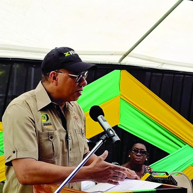 Holness urge homeowner to build with their means