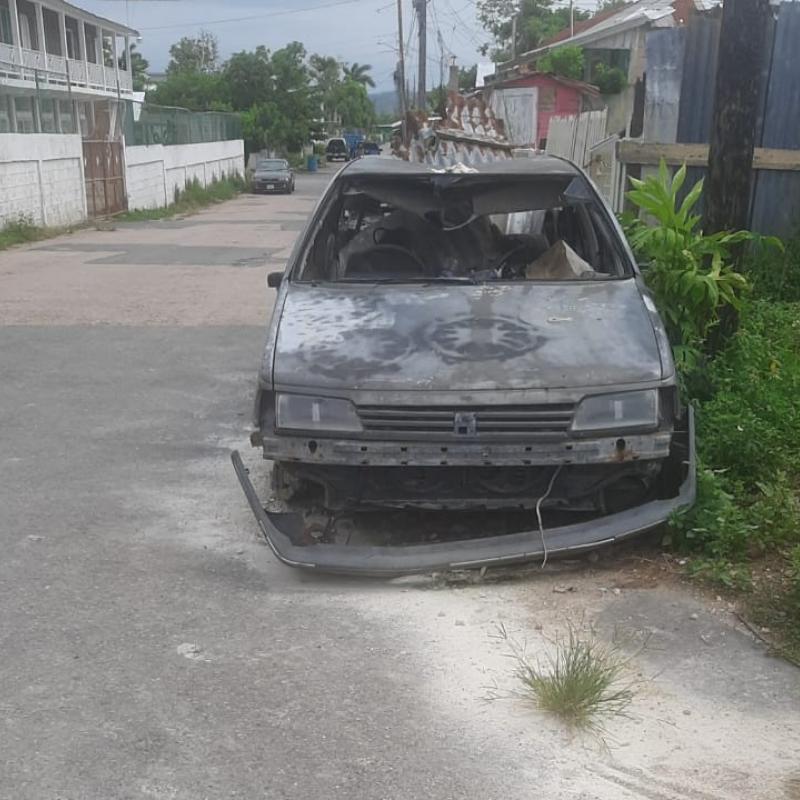 Trelawny councillor pushes for pound to tackle derelict vehi