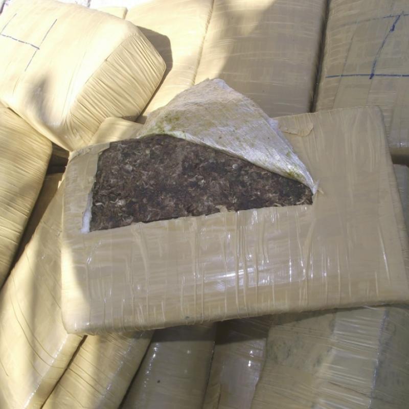 Major marijuana bust in Trinidad
