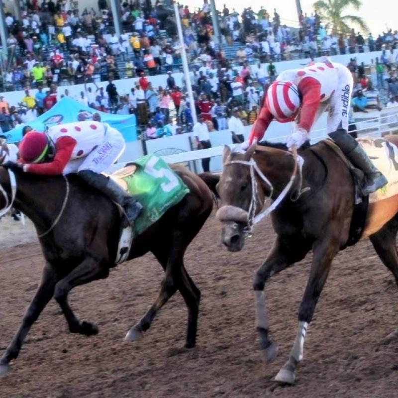 Maverick seeks redemption after Derby near‑miss