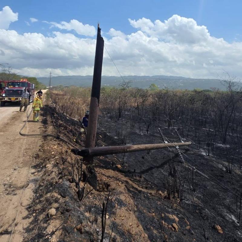 JPS pole damaged by bush fire in Portmore