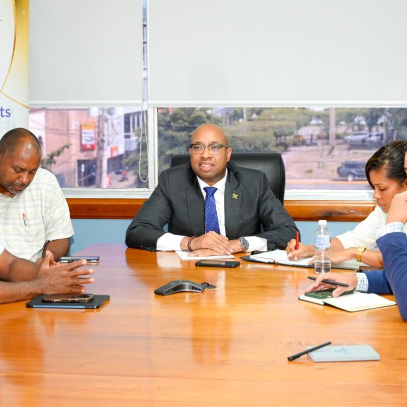 New Kingston Revitalisation Plan enters implementation phase
