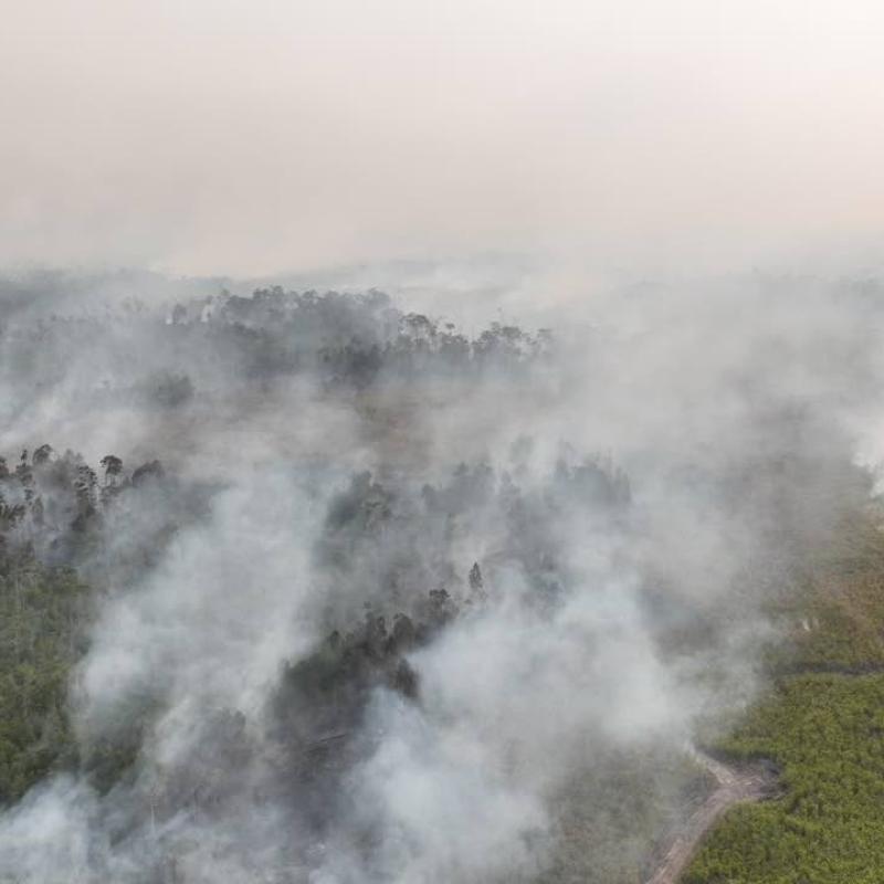 Indonesian police arrest 72 people suspected of starting forest fires
