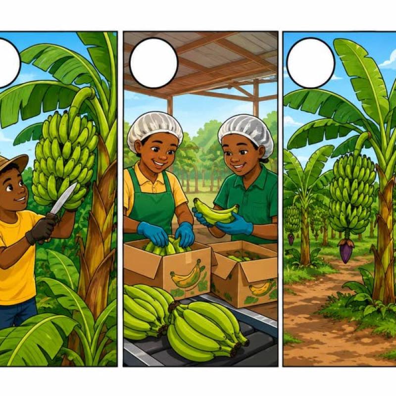 From the farm to your plate!