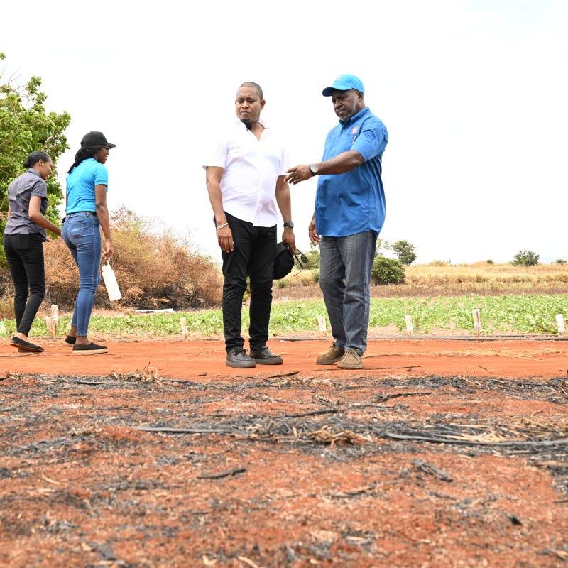 Agriculture Ministry assists farmers impacted by bush fire in Gillard, St Elizabeth