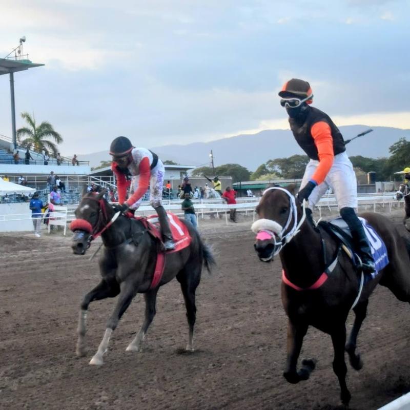 Stardom lands Griffiths Classic
