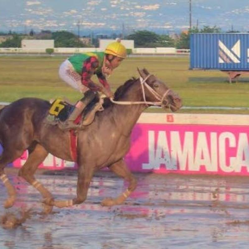 Of A Revolution out of class for Gerry Skelton Memorial
