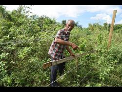 ‘I can’t even walk on my own land’