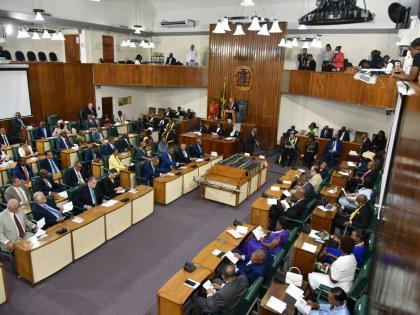 Howard Mitchell and Michael McAnuff-Jones write: The nation deserves representatives who earn trust, command respect, and possess the demonstrated capacity to lead with integrity.