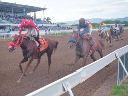 
MISS MONEYPENNY (left), ridden by Dane Dawkins, wins the Ronron Trophy, a six furlong event, with LOCKDOWN chasing against the rail at Caymanas Park yesterday.