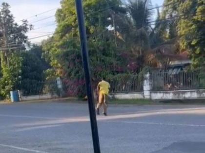 The child, who is reported to be autistic, was seen on video playing and running repeatedly across the roadway when he was struck. 