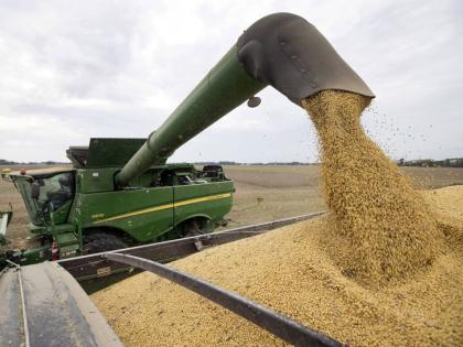 In this September 21, 2018 photo, soybeans are offloaded from a combine in Brownsburg, Indiana.