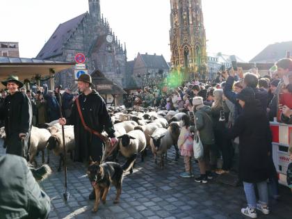 Tim Gackstatter (left) and Dirk Gissel lead sheep past the Frauenkirche and the main market square in Nuremberg’s city centre, Germany.