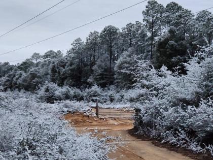 A rare snow is seen in Holt, Florida.