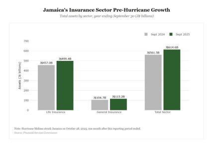 Insurance sector assets at September 2025, data from the Financial Services Commission. 