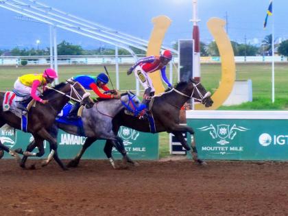 Crown Chaser (right), ridden by multiple Derby winner, Shane Ellis wins the 104th running of The Jamaica Derby over 12 furlongs ahead of Run Julie Run (centre) and Captain Sparrowat Caymanas Park in August 2024.