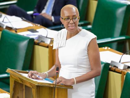 Minister of Finance, Fayval Williams.