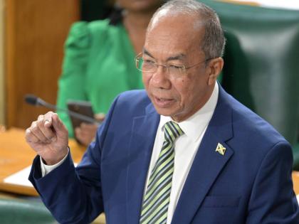 Minister of National Security, Dr Horace Chang. - File photo.