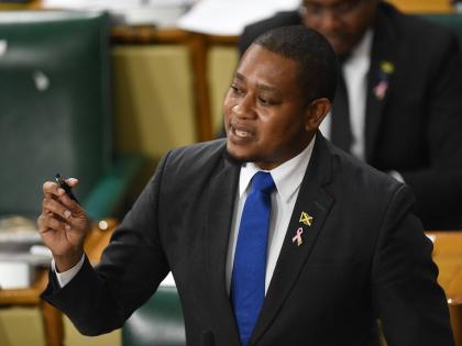 Mining Minister, Floyd Green.