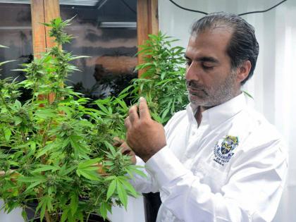 Balram Vaswani CEO of Kaya.