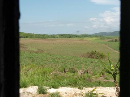 A view of the sugar fields from Hyde Hall Great House, one of the Long Pond great houses on April 21, 2008.