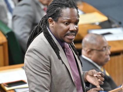 Opposition MP, Damion Crawford. - File photo.