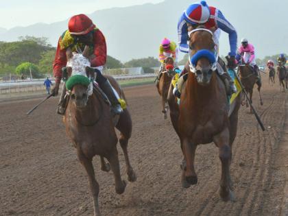 SUPREME SOUL (right), with Shane Ellis aboard, outlasts stablemate TOONA CILIATA (Linton Steadman) to win the Jamaica St Leger and secure the coveted Triple Crown in 2019.