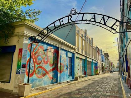  The downtown Kingston art district at Water Lane.