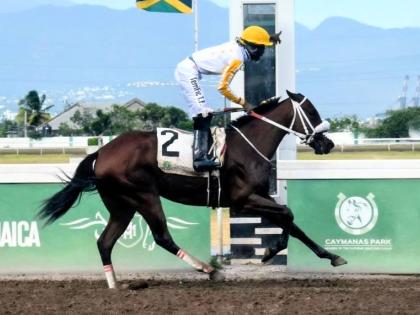 
DREAM CATCHER, ridden by Tevin Foster, wins the Jamaica Oaks over 10 furlongs at Caymanas Park yesterday.