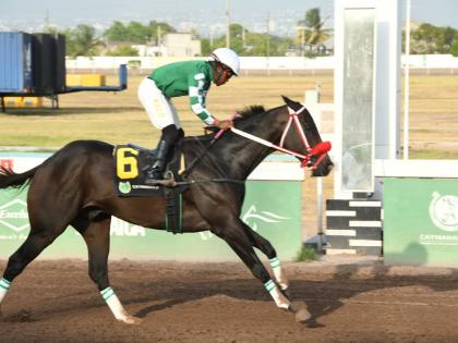 Anthony Minott/Freelance Photographer 
DON KWESI, with Jaheim Anderson aboard, though first past the post in the Poorlittlerichgirl, was disqualified for a weight infringement at Caymanas Park yesterday.  