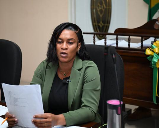 Acting Parish Disaster Coordinator at the St Elizabeth Municipal Corporation, Rasha Lloyd, addressing the Disaster Preparedness, Hazard Mitigation & Safety Committee meeting at the St Elizabeth Municipal Corporation in Black River on September 16. 