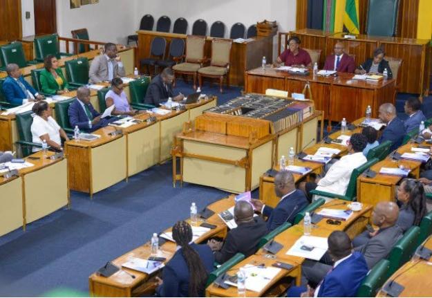 Speaker of the House of Representatives Juliet Holness, Chief Hansard Reporter Carl Bryan (centre), and Clerk to the Houses of Parliament Colleen Lowe at the opening ceremony for orientation of members of parliament.
