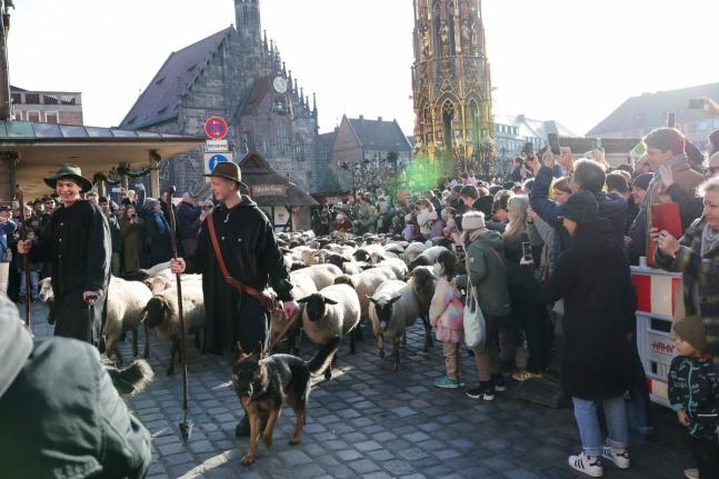 Tim Gackstatter (left) and Dirk Gissel lead sheep past the Frauenkirche and the main market square in Nuremberg’s city centre, Germany.