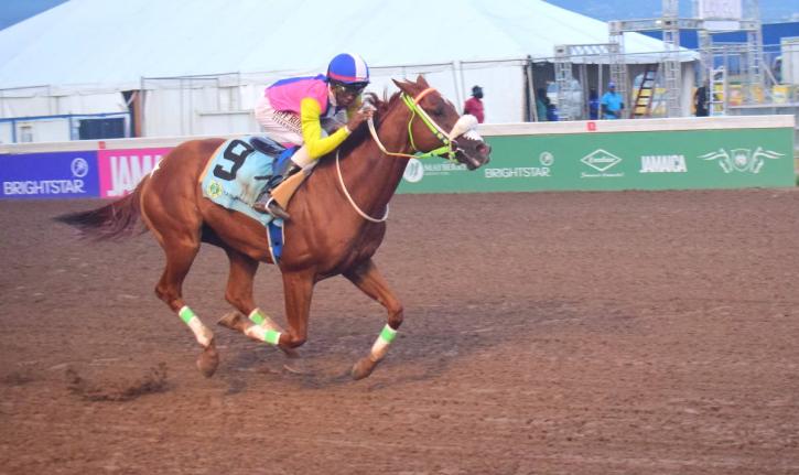 
ZULU WARRIOR, ridden by  Demar Williams, wins the Security Department Trophy over five furlongs in a brisk 58 seconds at Caymanas Park yesterday.