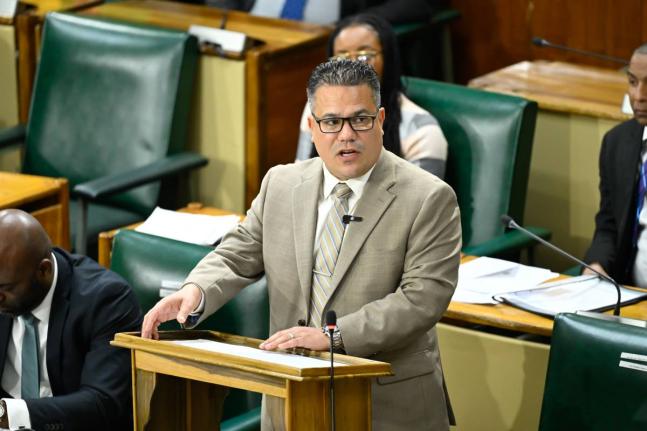 Minister of Water, Environment and Climate Change, Matthew Samuda, addresses the House of Representatives on January 13.

