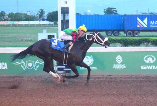 
NAUTICAL STAR, ridden by Raddesh Roman, wins the St Catherine Cup over six furlongs at Caymanas Park yesterday.