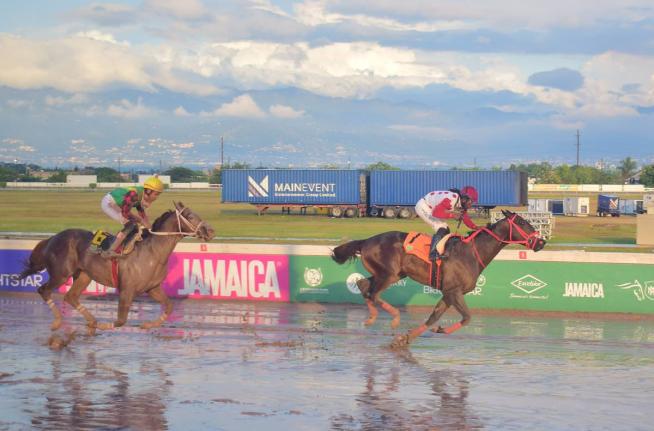 GIRVANO, ridden by Robert Halledeen, wins the MIRACLE MAN Trophy over seven and a half furlongs at Caymanas Park on New Year’s Day.