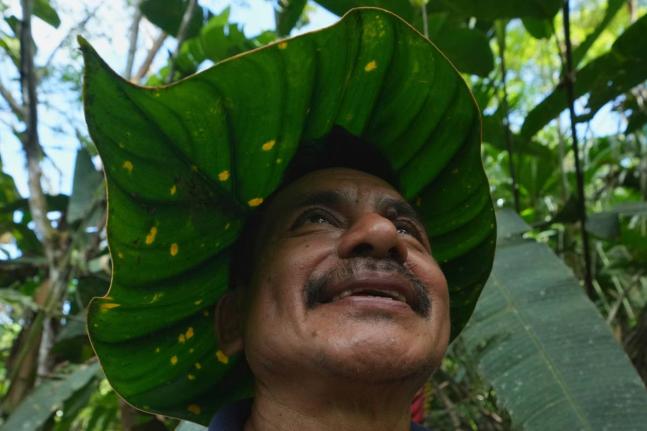 Ramón Pucha demonstrates how to turn a leaf into a hat to protect himself from the sun while looking for seeds to grow on his family’s farm.