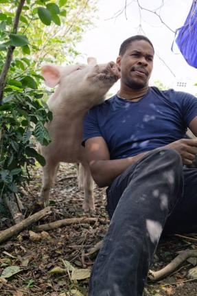Operator of Souljapup Kennels Kevorn Ellis with his pig, Donald. 