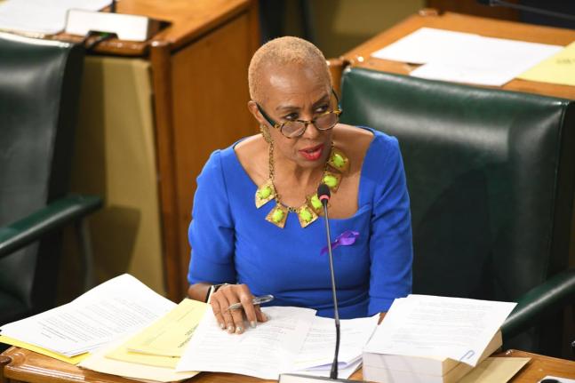 Minister of Finance, Fayval Williams. - File photo.