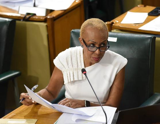 Minister of Finance, Fayval Williams.  - File photo.