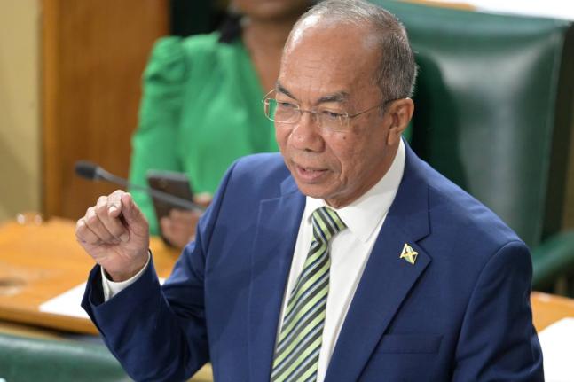 Minister of National Security, Dr Horace Chang. - File photo.