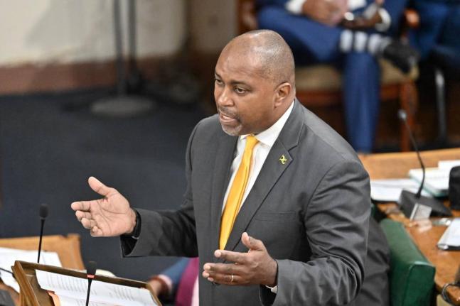Opposition Spokesman on Finance Julian Robinson making his contribution to the 2026/2027 Budget Debate in Parliament on March 12, 2026.