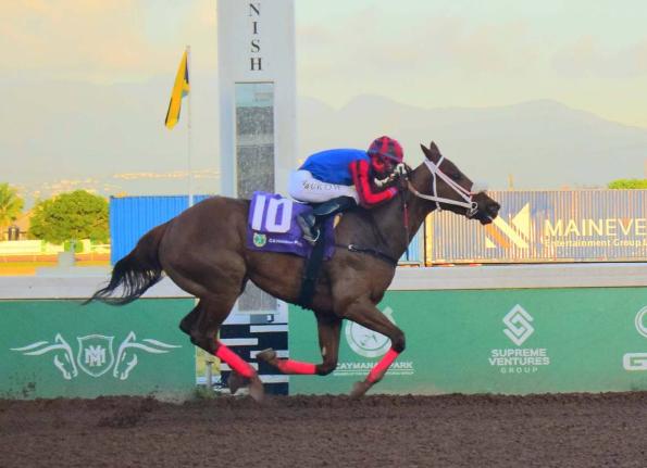 SHE’S THAT GIRL, ridden by Tajah Suckoo, wins the Omar Walker Trophy over 5 1/2 Furlongs at Caymanas Park on Sunday, March 1.