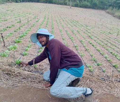 Andy Griffiths on his farm in Goshen, St Elizabeth. 